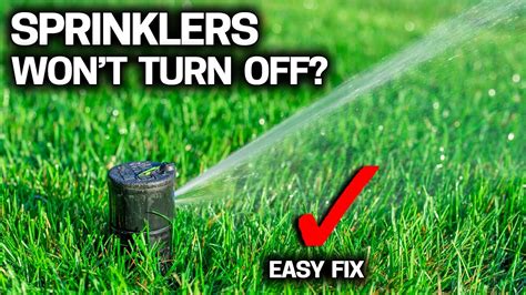 why does my sprinkler head leak|Why Your Sprinkler System is Leaking When It’s Off